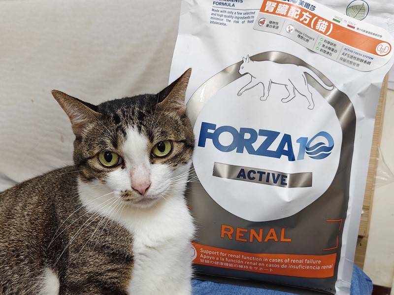 FORZA10 芙爾莎 腎臟配方(貓) 