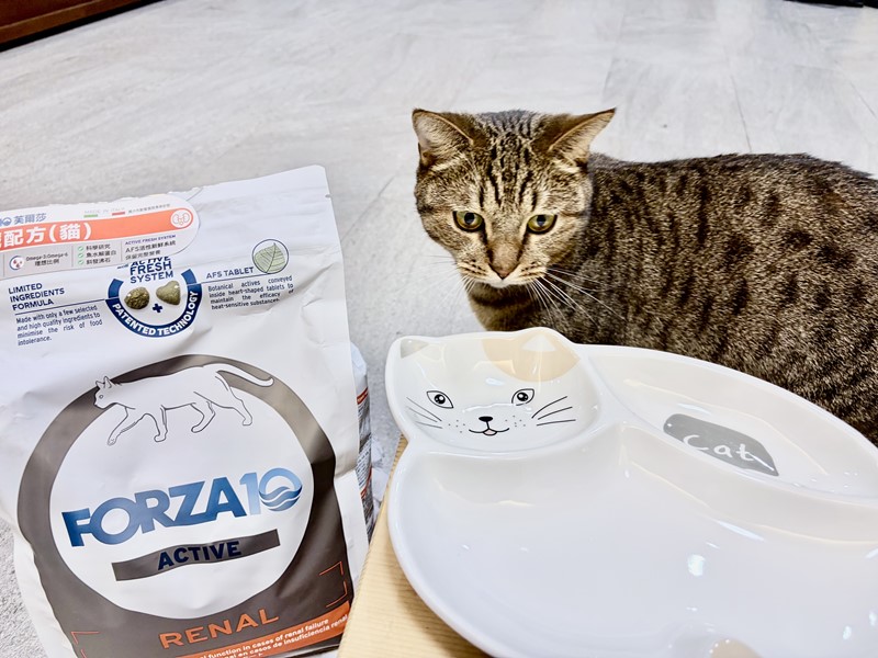 FORZA10 芙爾莎 腎臟配方(貓)為愛貓做好早期的代謝管理與腎臟機能維護     